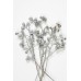 CONICAL GUM BRANCH WHITE WASHED 8"-12"-